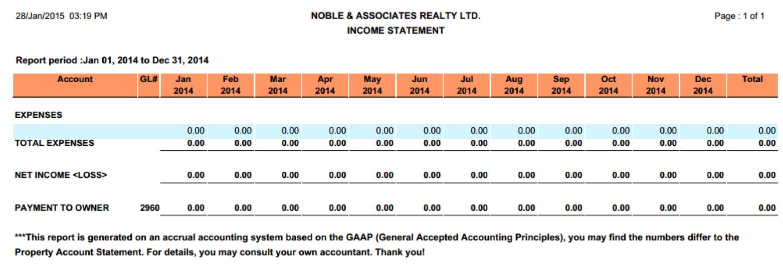 2015 annual income statement2